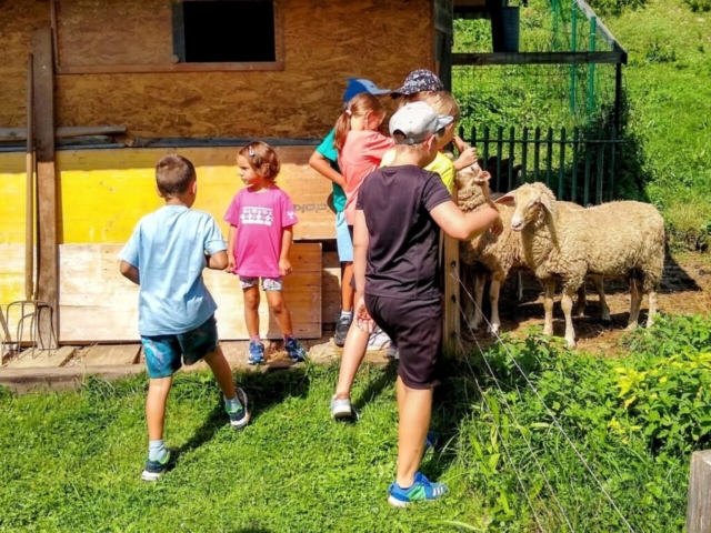 Farský výlet do Terchovej